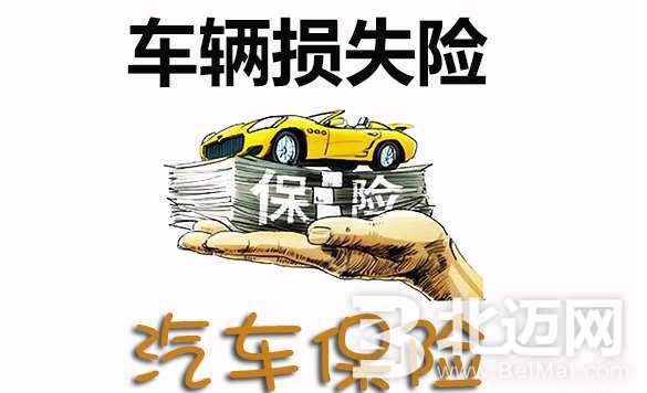 車輛損失險(xiǎn)是什么意思