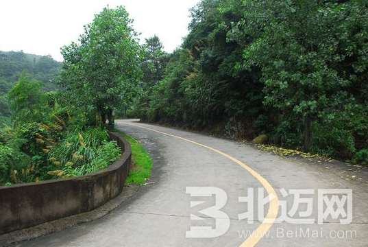 山路安全駕駛